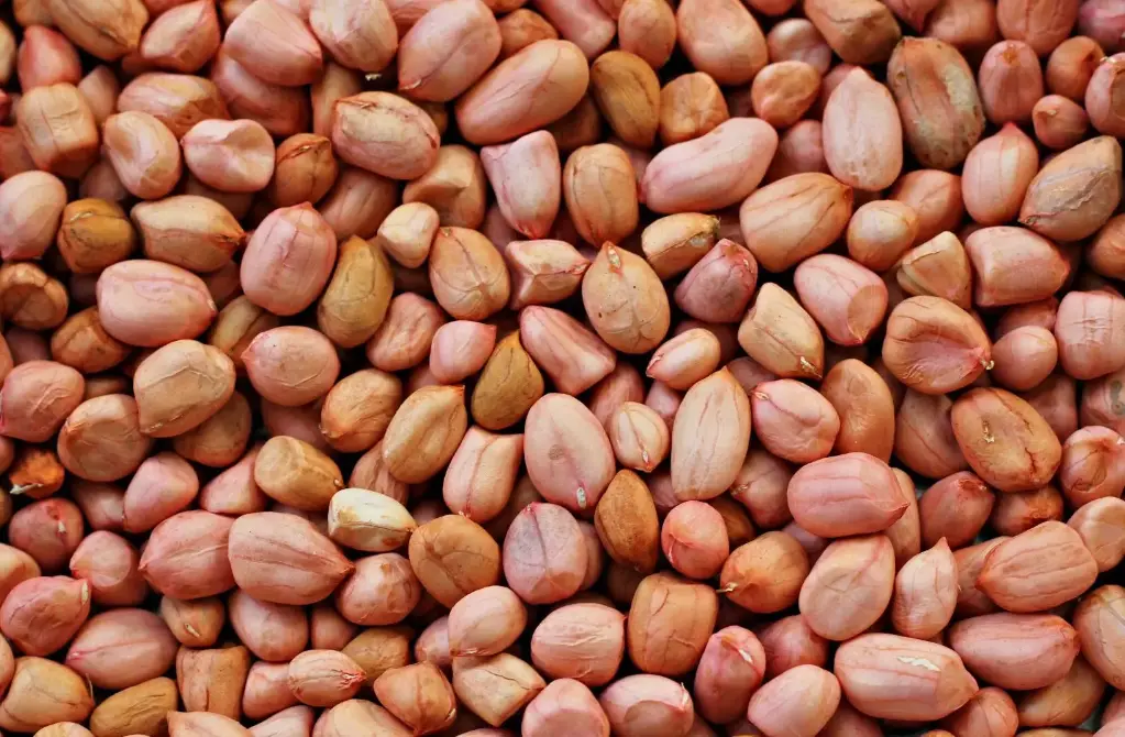 Ground Nuts