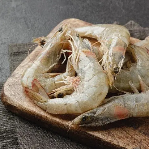 Shrimp