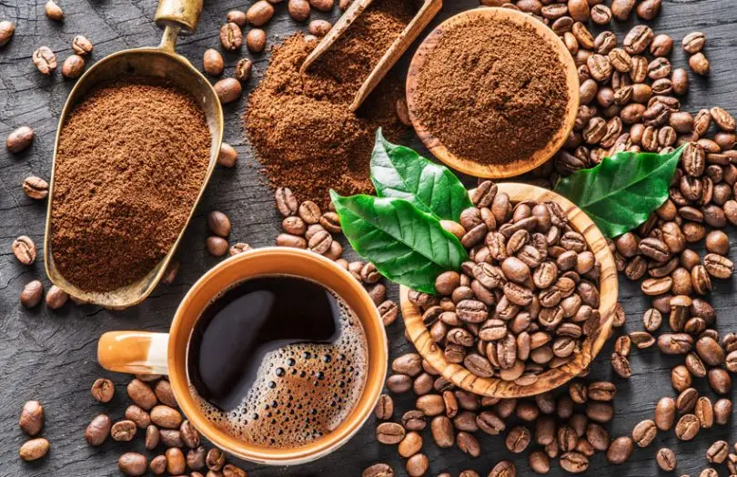 Premium Arabica Coffee Beans